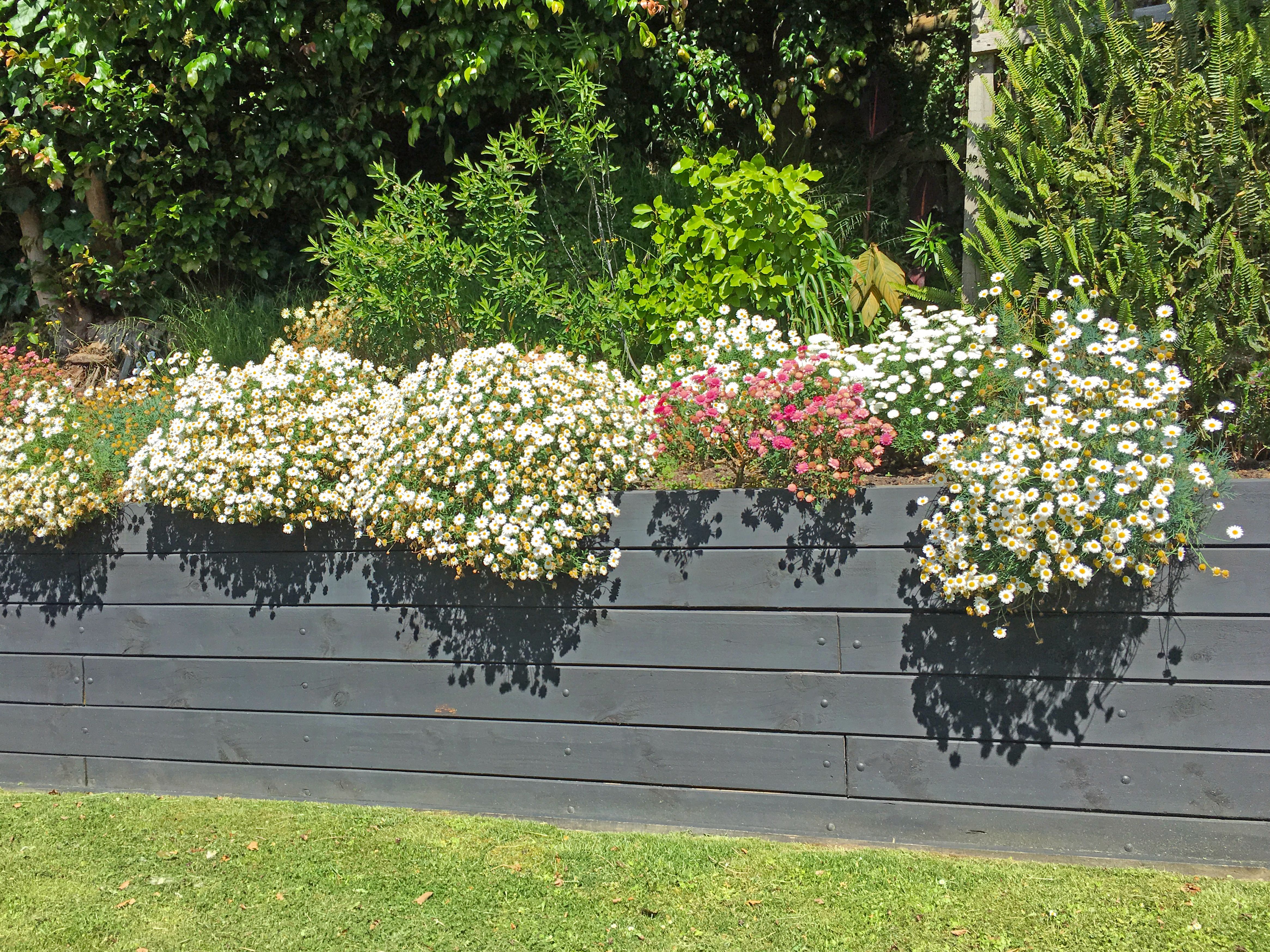 Retaining wall with professional landscaping